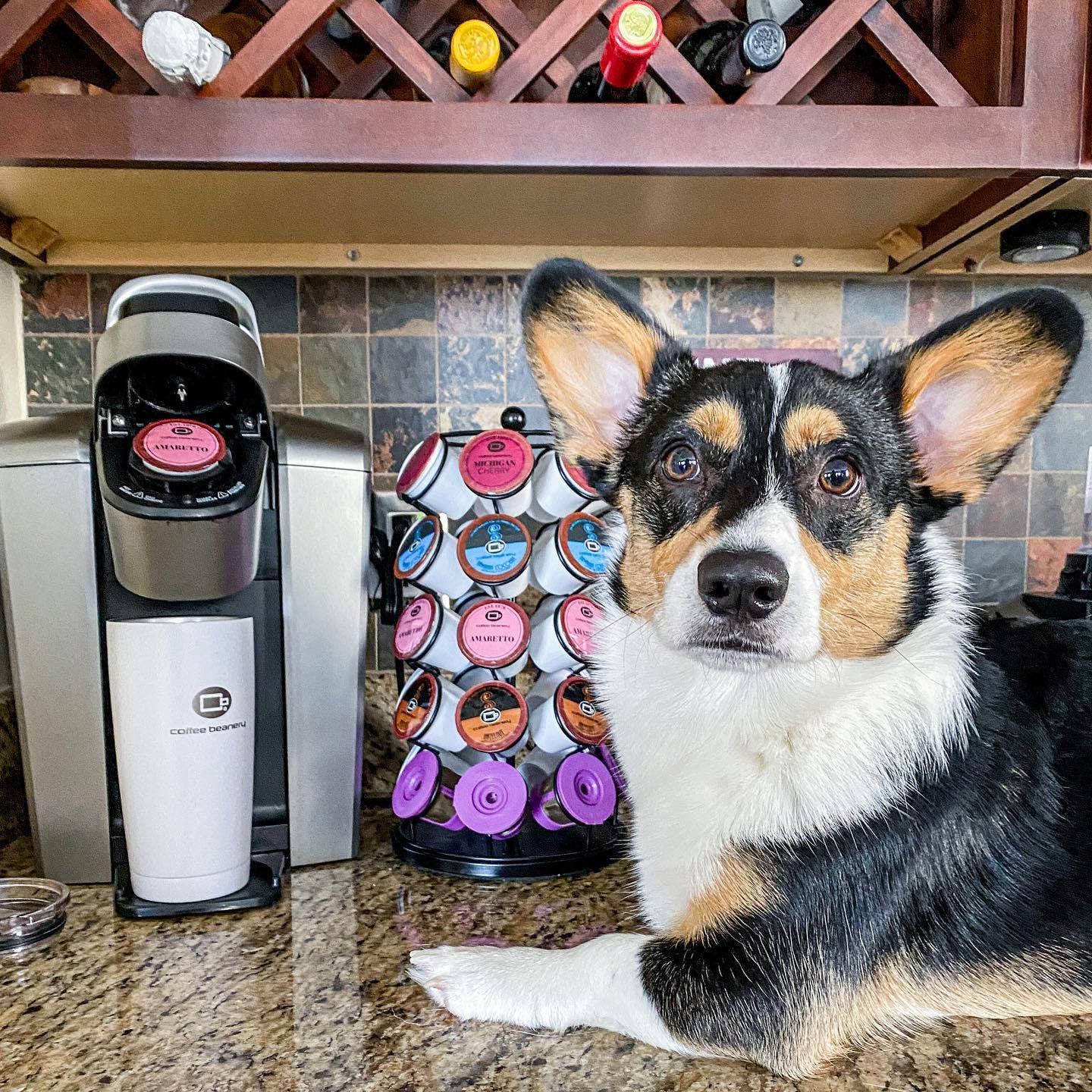 Coffee Beanery - Wholesale Coffee Pods - Michigan Cherry Flavored Coffee  | Single Serve Pods4