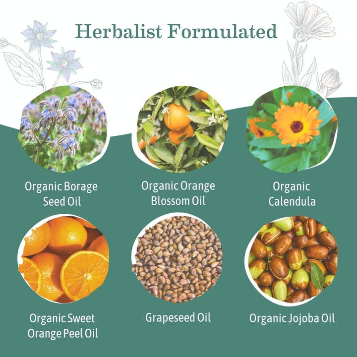 Earth Mama Organics - Wholesale Belly Oil/Butter - Maternity - Belly Oil3