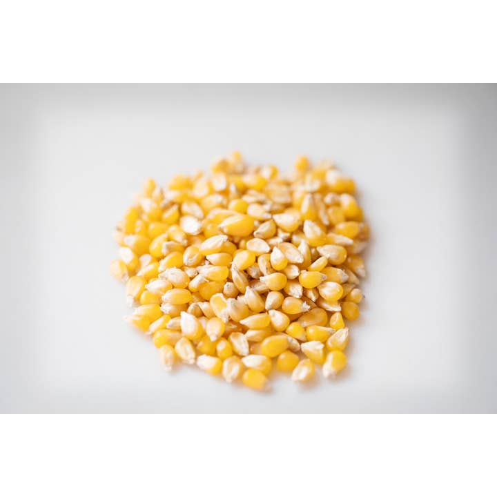 Amish Country Popcorn - Wholesale Popcorn - 1lb Bag of Ladyfinger Hulless Popcorn
