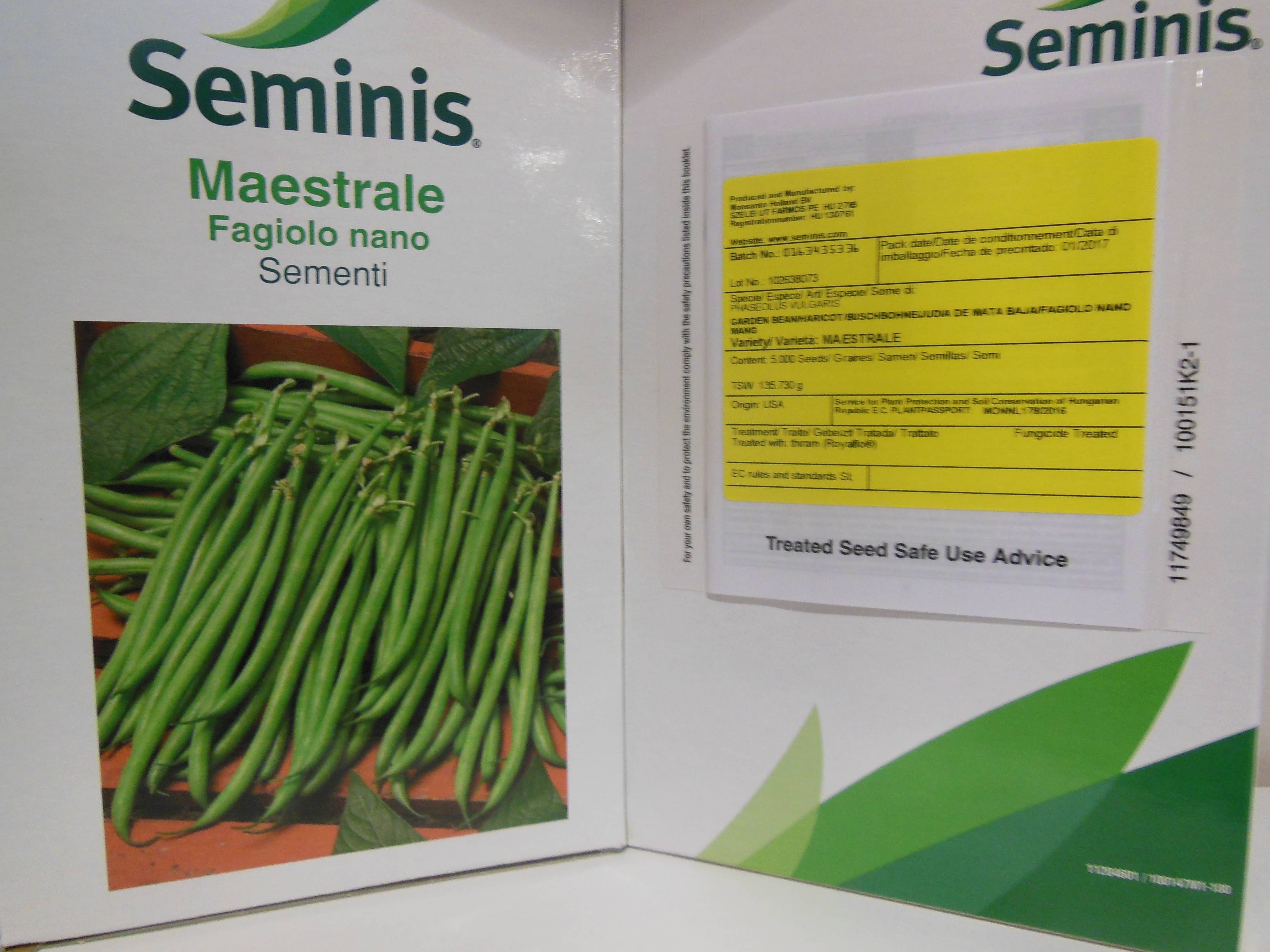 Sementi & Barbatelle – Großhandel Pflanzensamen – Buschbohne MGT Maestrale0