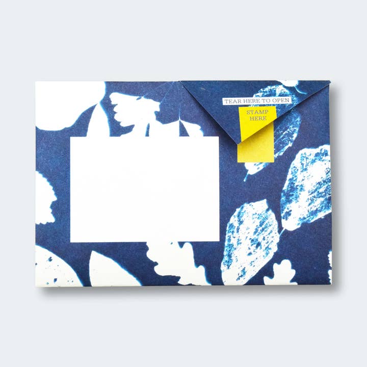 pigeonposted - Wholesale Stationery/Notecard Set - Apothecary Pigeon letter pack