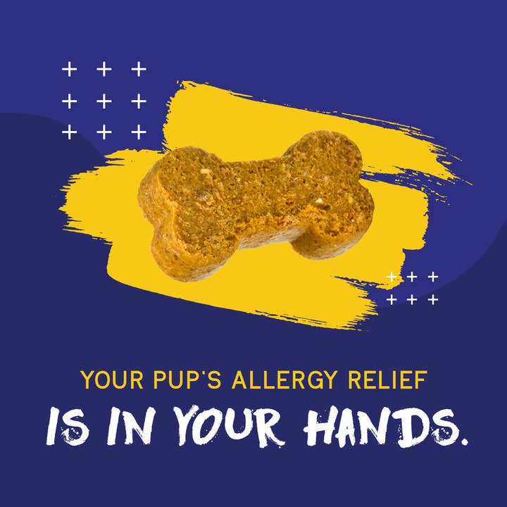 PupGrade - Wholesale Pet Treats - Dog - Itch & Allergy Chews