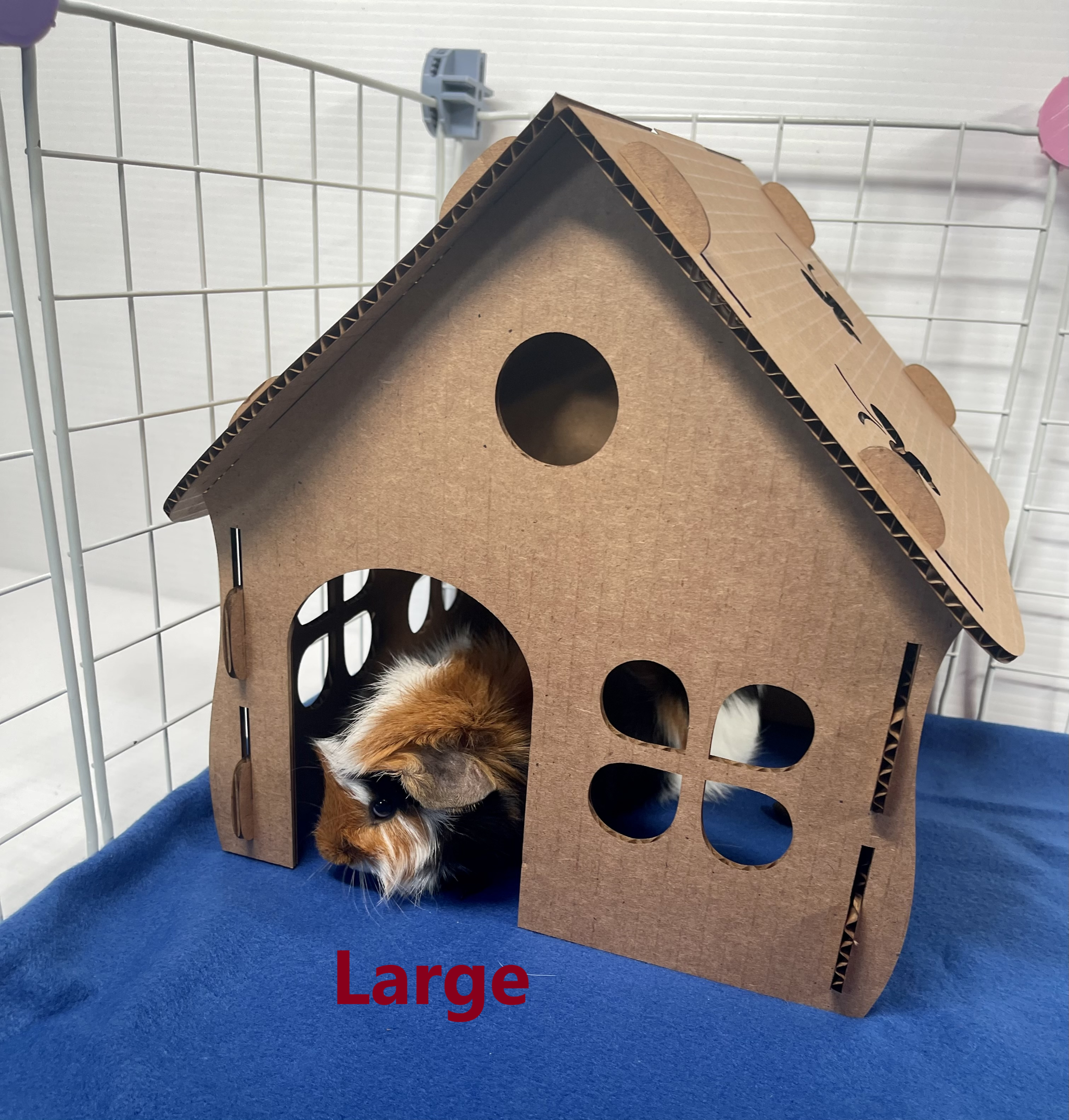 Grannys Little Homes - Wholesale Pet Toy - Not Cat/Dog - Cardboard Butterfly Hidey2