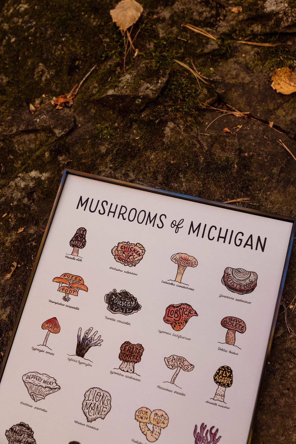 Home Squirrel - Wholesale Art Print - Mushrooms of Michigan Watercolor Print3