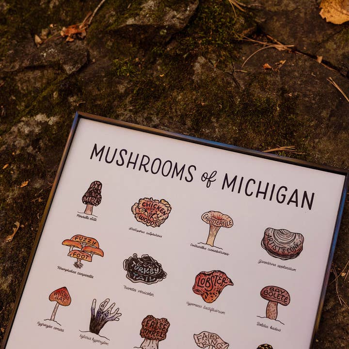 Home Squirrel - Wholesale Art Print - Mushrooms of Michigan Watercolor Print3