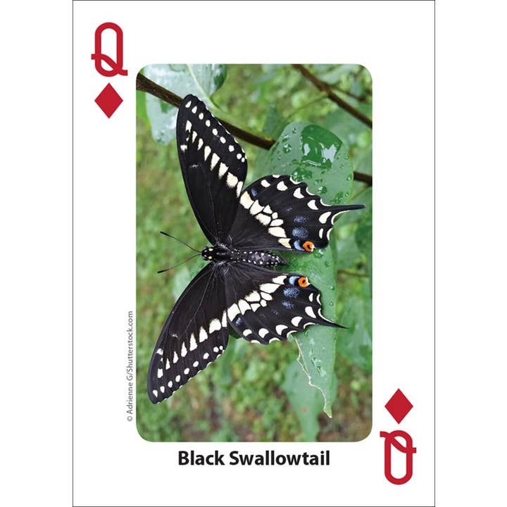 AdventureKEEN - Wholesale Playing Cards - Bees & Butterflies Playing Cards