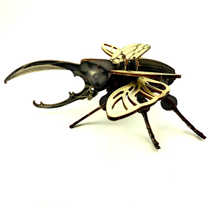 Arthropoda Beetle: DIY Wood Assembly Kit for wholesale by JCR WORK
