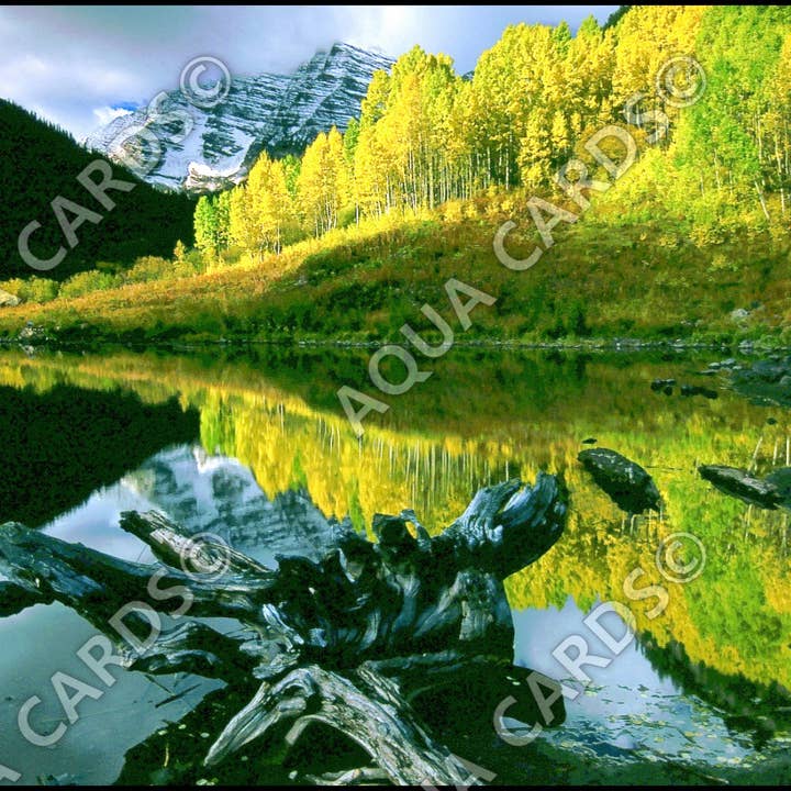 1052 - Riflessi Lago di Montagna per la vendita all'ingrosso da parte di Aqua Cards