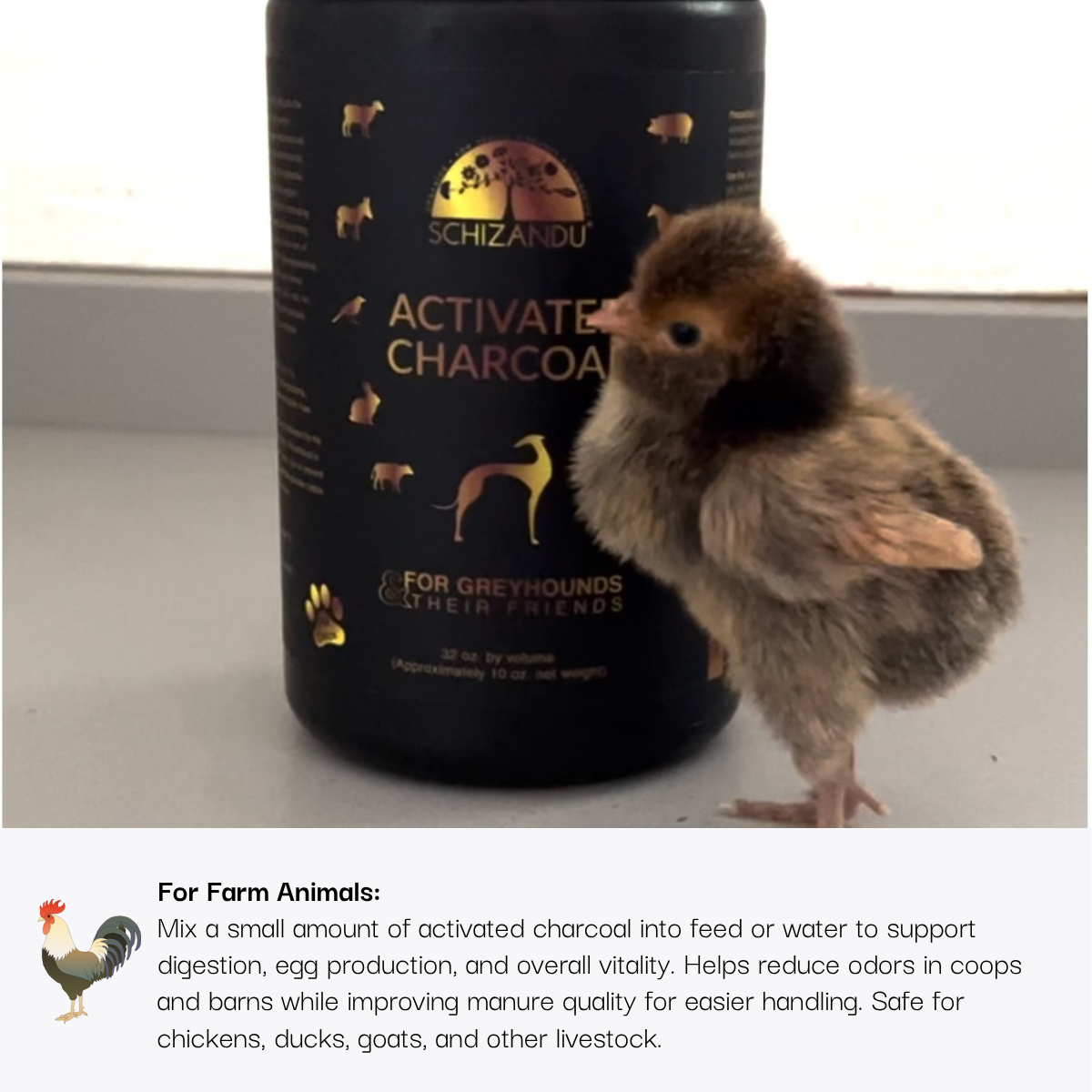 Schizandu Organics - Wholesale Pet Supplement - Cat/Dog - Activated Charcoal for Pets, 100% Pure FOOD GRADE, 32 oz6