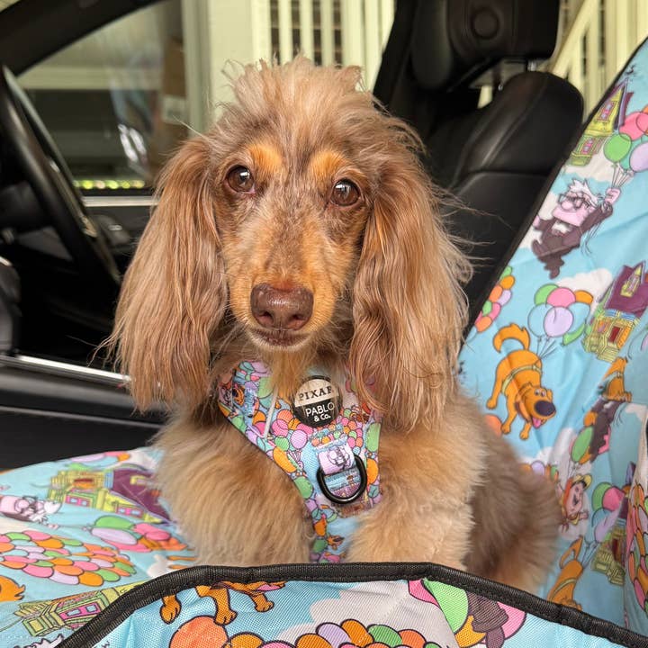 Housse de siège auto simple de luxe pour la vente par Pablo & Co. Boutique