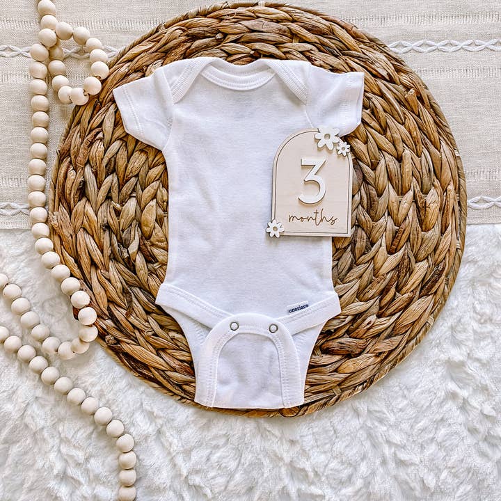 Claire and Bella - Wholesale Milestone Art/Keepsake - Kids & Baby - Wooden Monthly Milestone Set - Daisy2