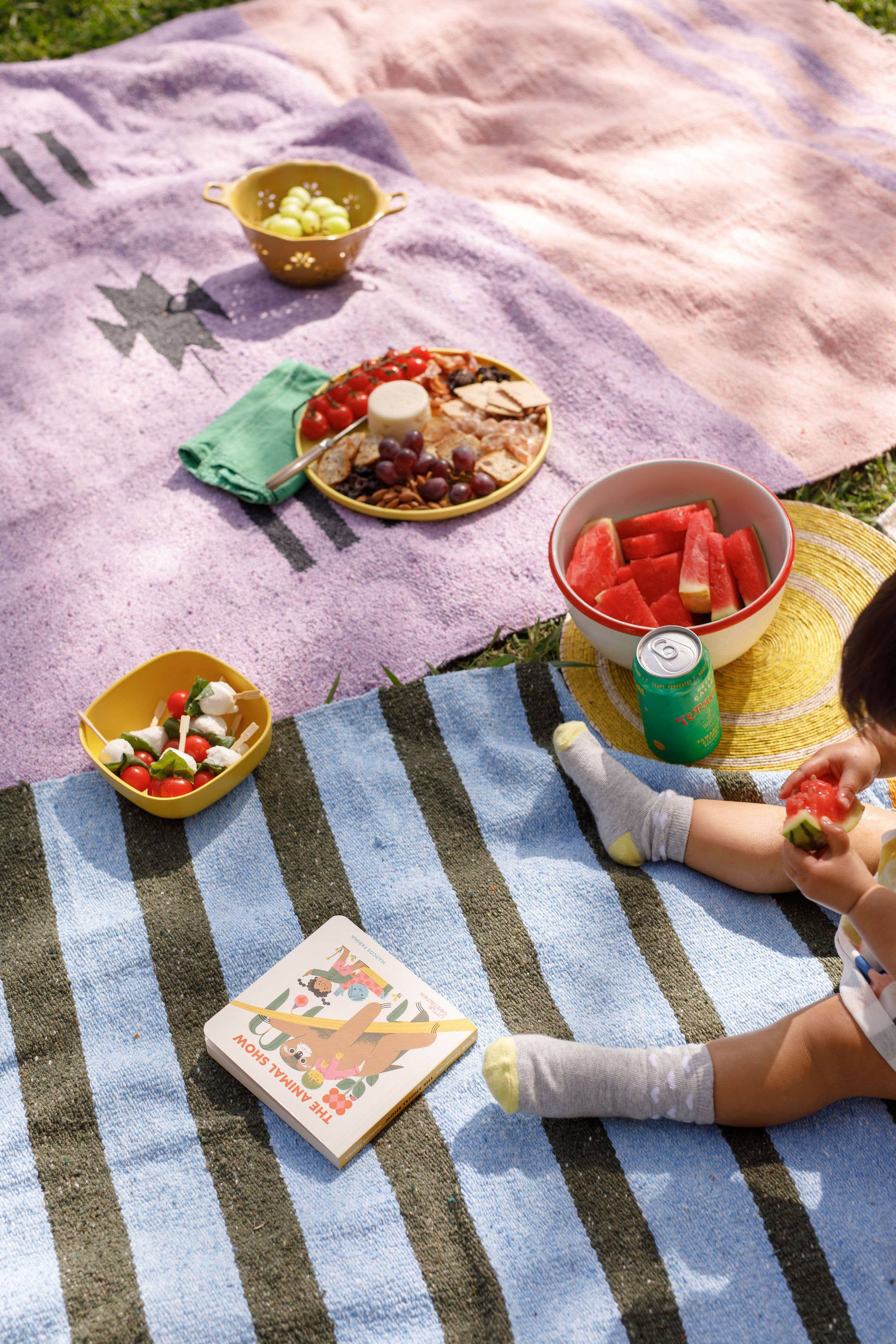 Caminito - Vendita all'ingrosso Coperte da picnic - Marea Lago - Coperta in rotolo3