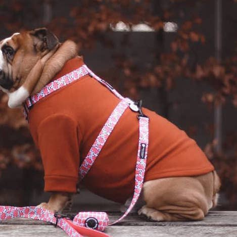 Rost Vattentålig hund fleece för wholesale av Bella Katee Pets