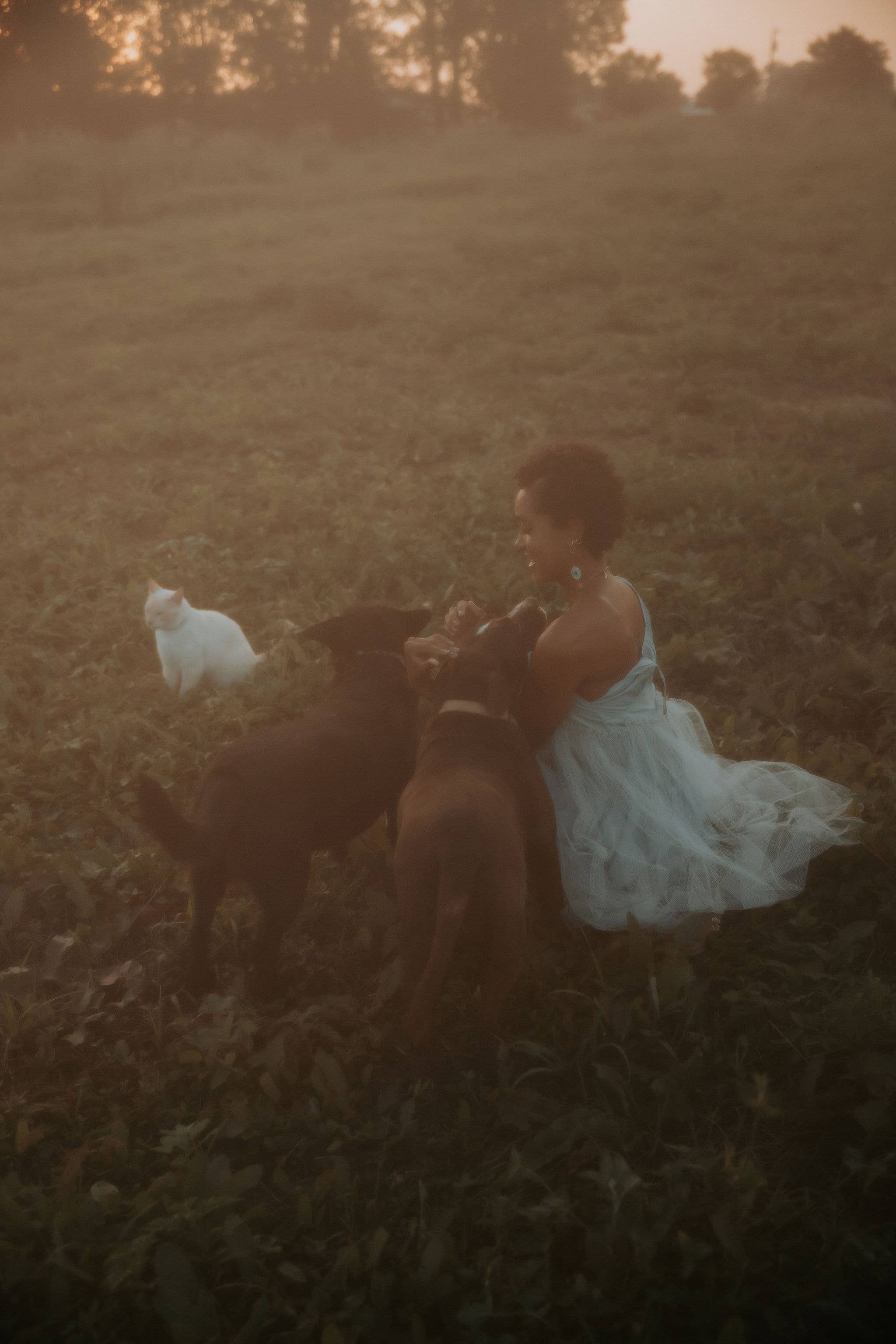 Flatwoods Fawn - Wholesale Dangle Earrings - Future Vision Earrings4