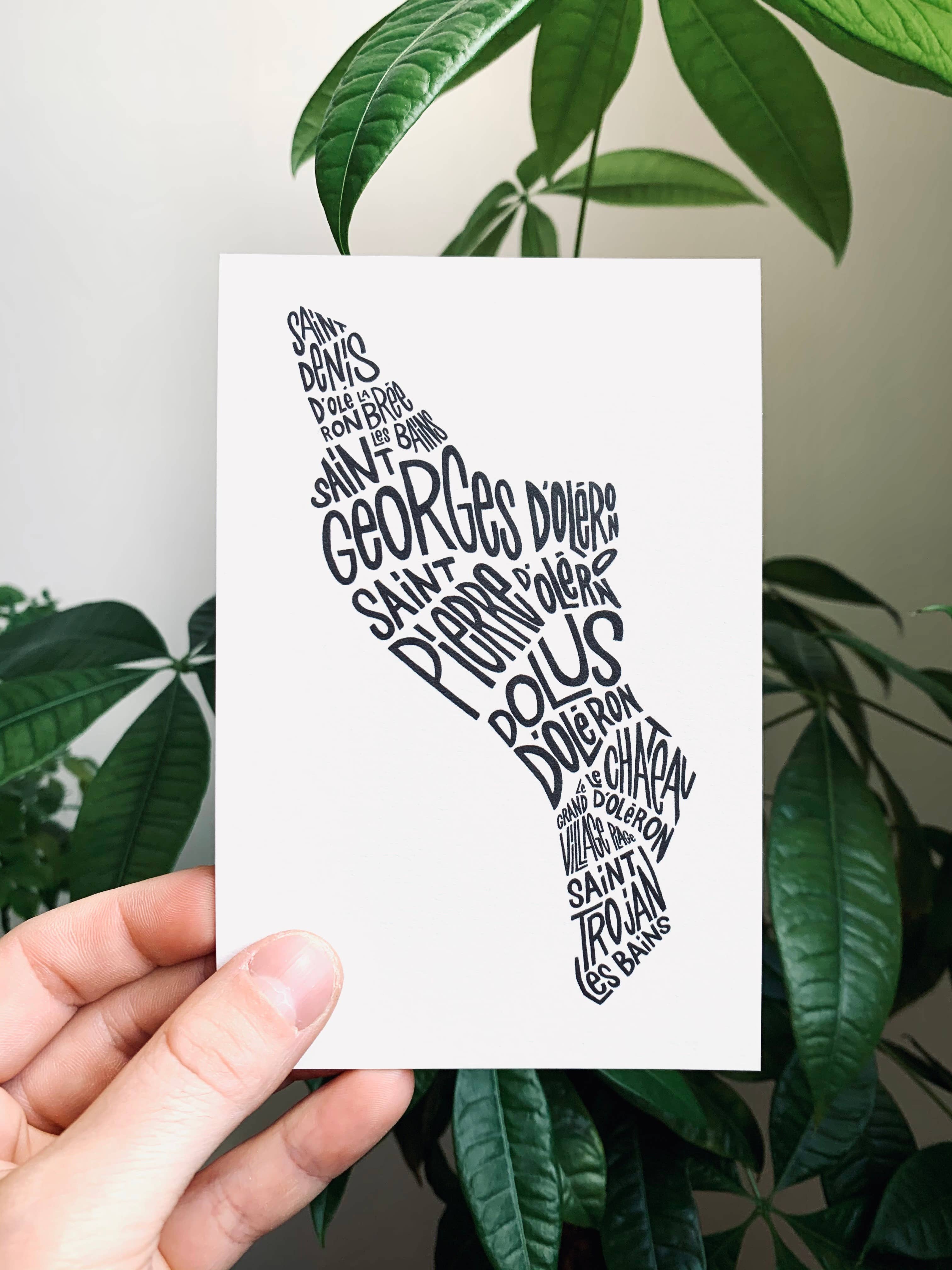 Les Petits Plans - Wholesale Postcard - 🏞️ Postcards5