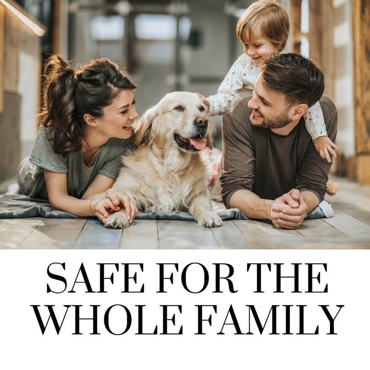 Hygea Natural - Wholesale Multi-surface cleaner - Spotless Essentials Pest killer &Surface Cleaner concentrate6