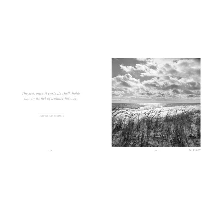 Schiffer Publishing - Wholesale Display Book - East Coast Atlantic Beaches5