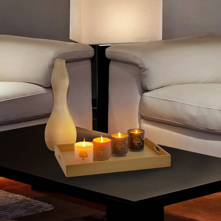 Ancient Olive Trees - Wholesale Pot/gevulde kaars - Luxe geurkaarsen, variétépakket1