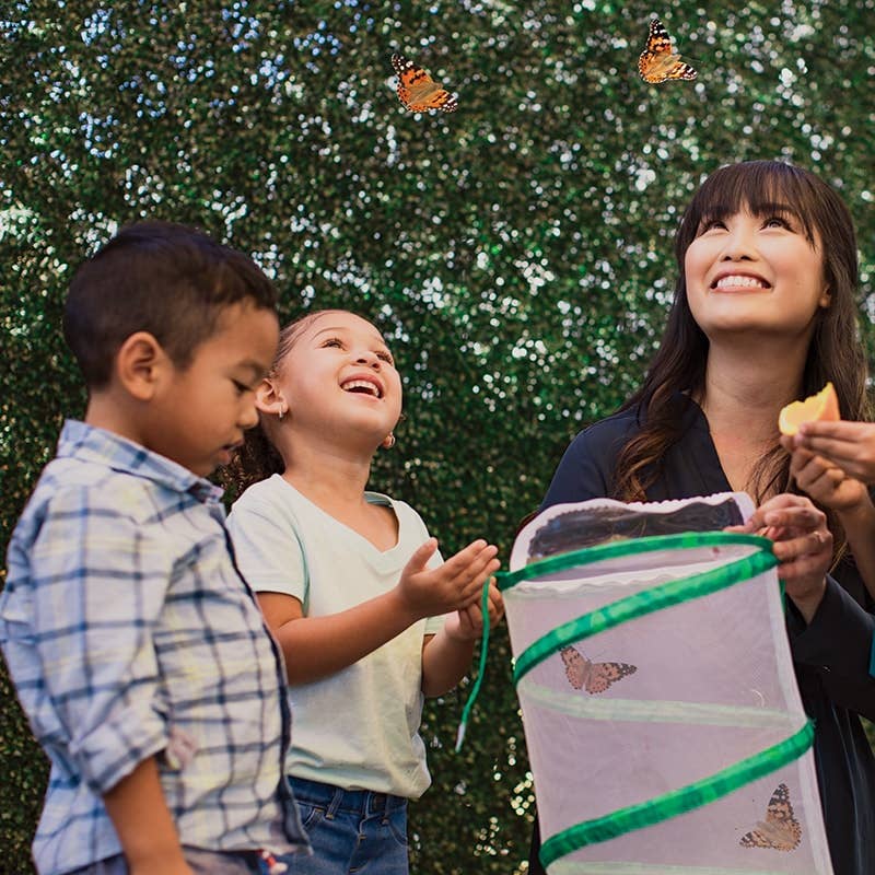 INSECT LORE - Wholesale Classic Toy - Kids - Original Butterfly Garden® Growing Kit with Voucher 12