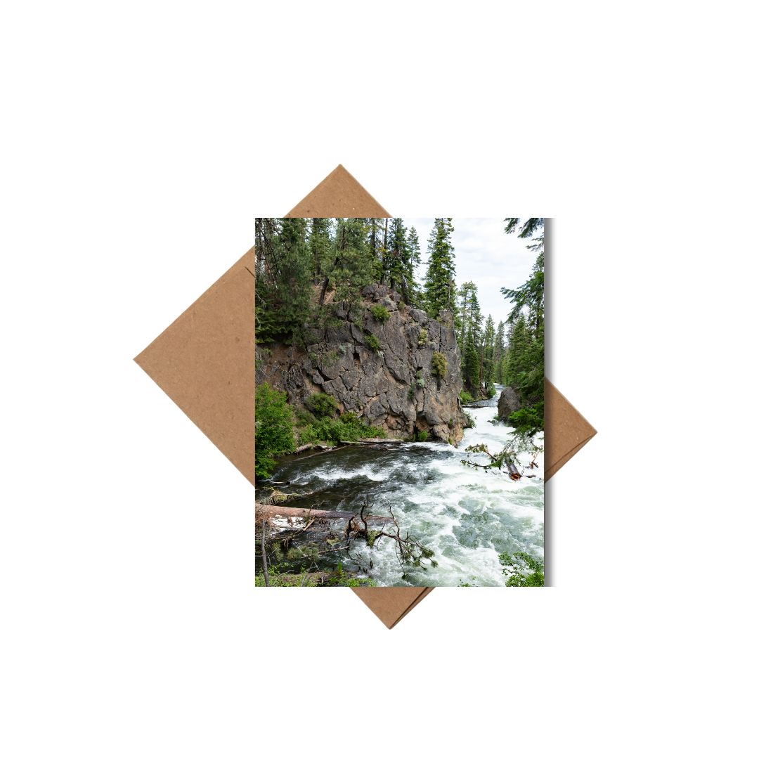 Andrea Morris Art - Wholesale Stationery/Notecard Set - Oregon Card Variety Pack (5 Different Cards + Envelopes)7