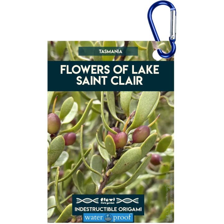Fleurs du lac Saint Clair-Origami indestructible pour la vente par Flexi Field Guides