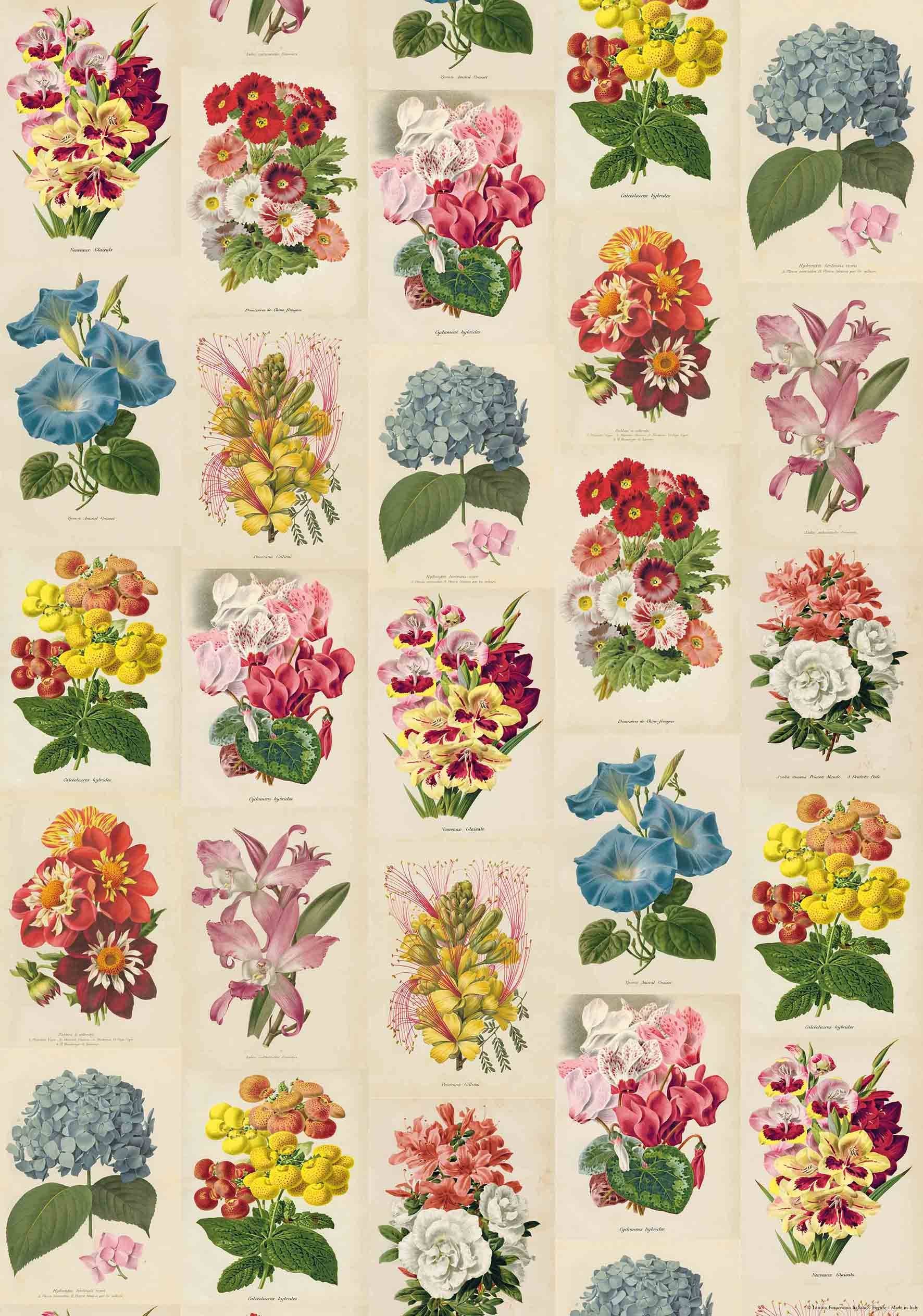 San Lorenzo Design - Wholesale Poster - Vintage Art Posters, Instituto Fotochromo Italiano, Classic96