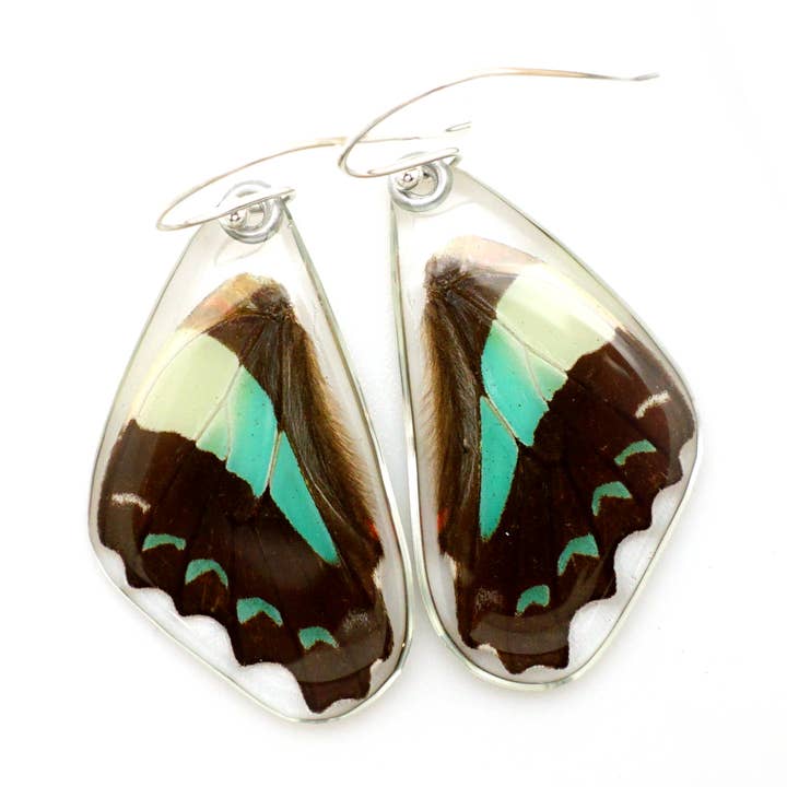 0640 Vlinder Oorbellen, Bluebottle Butterfly, Bottom Wings voor wholesale door Wingstitution