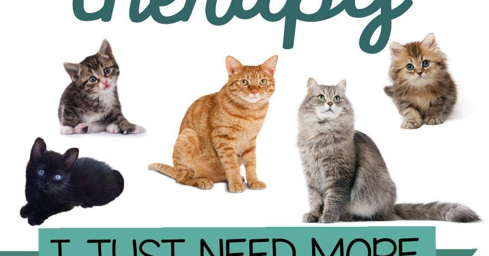 Do Take It Personally – Caneca por atacado – Caneca louca da senhora do gato3