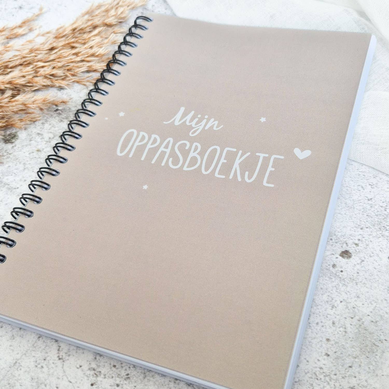 Fien & Feau - Wholesale Journal/Diary - Kids - Babysitting Book Sand (Wire-O)1