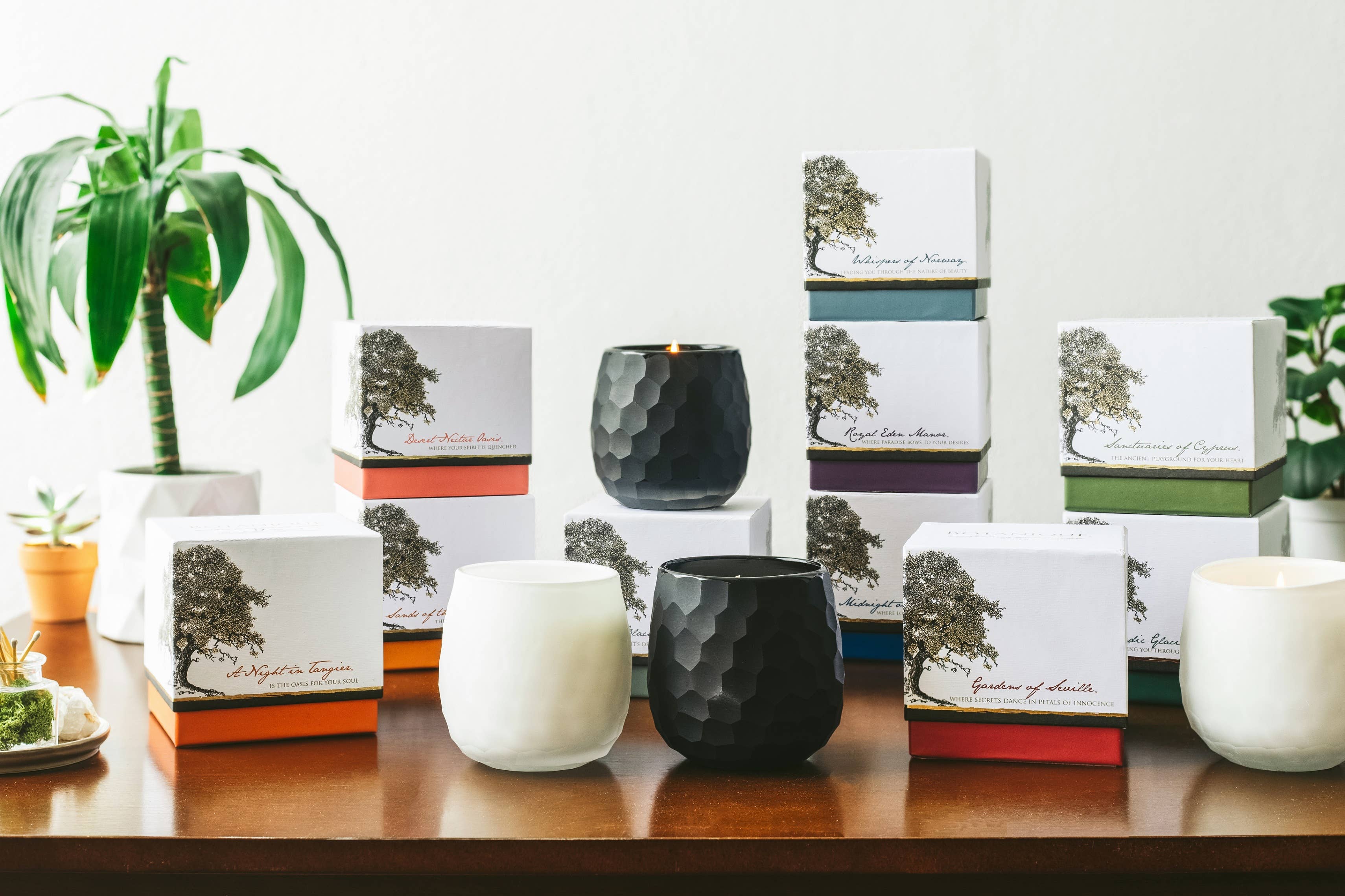 Andaluca - Wholesale Jar/Filled Candle - Botanique Luxe 16 oz Black Candle5