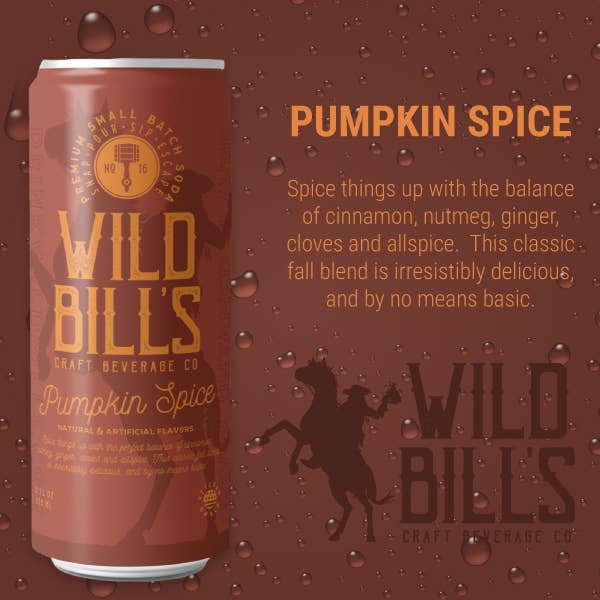 Wild Bill’s Craft Beverage Co. - Wholesale Soda/Carbonated Drink - Pumpkin Spice - Premium Cane Sugar Soda, 12-Pack, Cans6