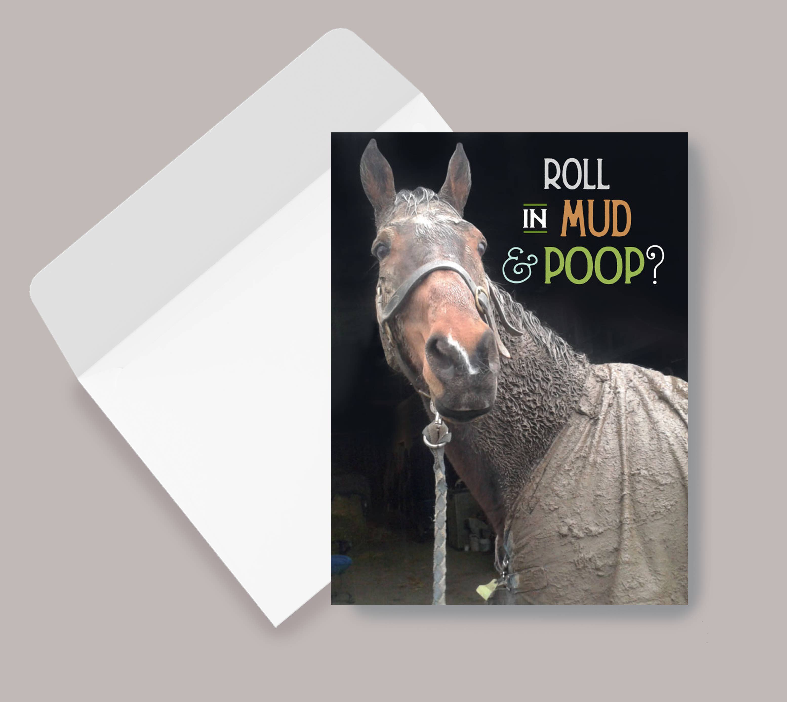 Horse Hollow Press - Wholesale Birthday Card - Horse Greeting Birthday Card / Roll in Mud & Poop / Funny 8