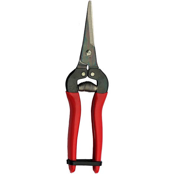 Ciseaux à fleurs pointus ARS, L19 cm, lame 46 mm pour la vente par Vosteen