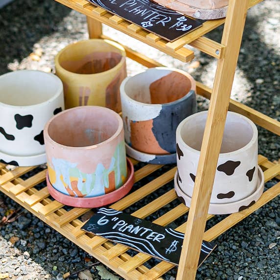 The Plant Committee - Venta al por mayor Macetas - Jardinera de 6"1