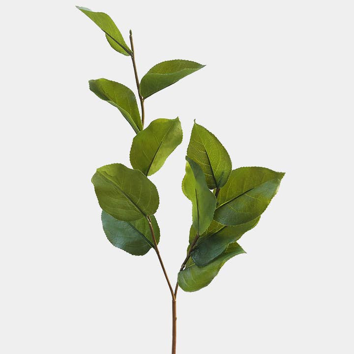 Prestige Botanicals - Vente Plantes artificielles - Tige de feuille de salal artificielle de 23 po0