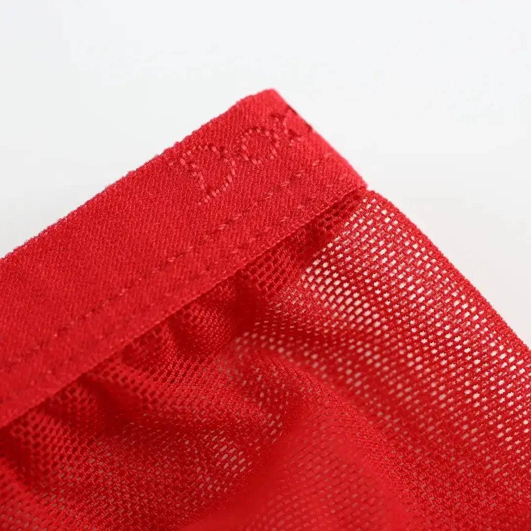 DomiGe - Vente Sous-vêtements – homme - Slips transparents pour hommes avec logo, ceinture élastique et pochette profilée, sous-vêtements masculins3