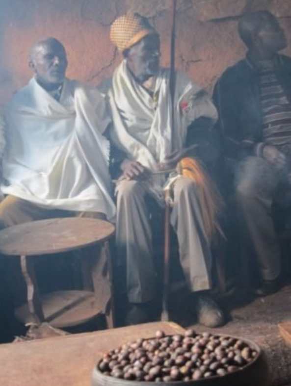 Arise & Grind Coffee – Engroshandel Kaffebønner – Etiopien Harrar Natural1