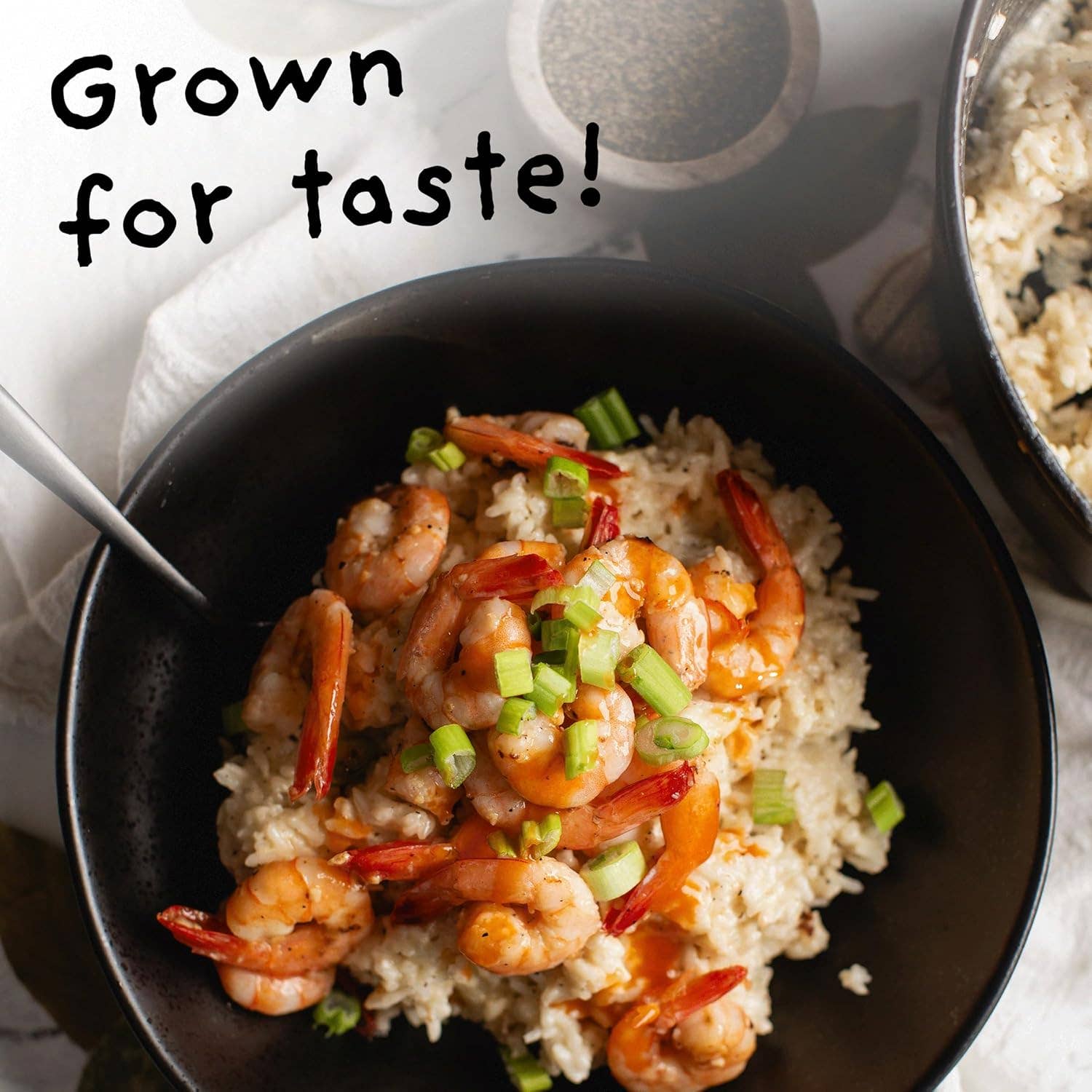 4Sisters - Wholesale Rice - 4Sisters Organic Long Grain White Rice - 2lb2