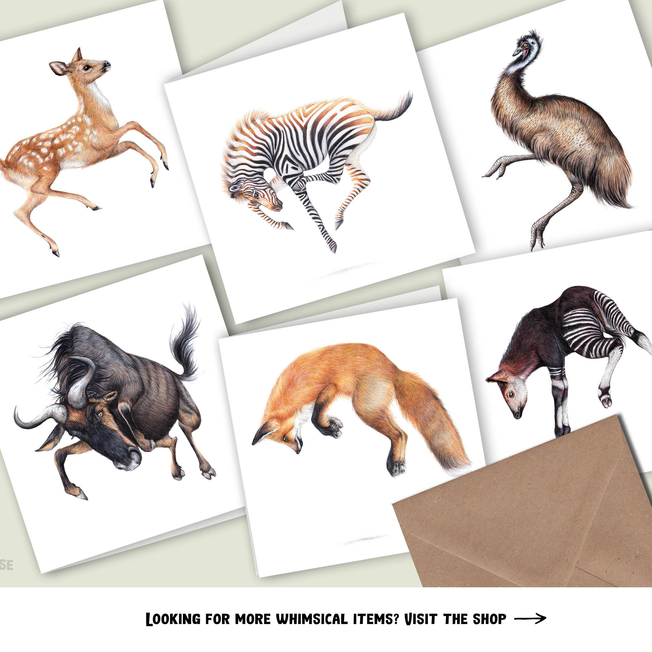 Beast of Paradise - Wholesale Everyday Greeting Card - Wildebeest, Gnu Greeting Card, Animal Birthday Card, Blank4