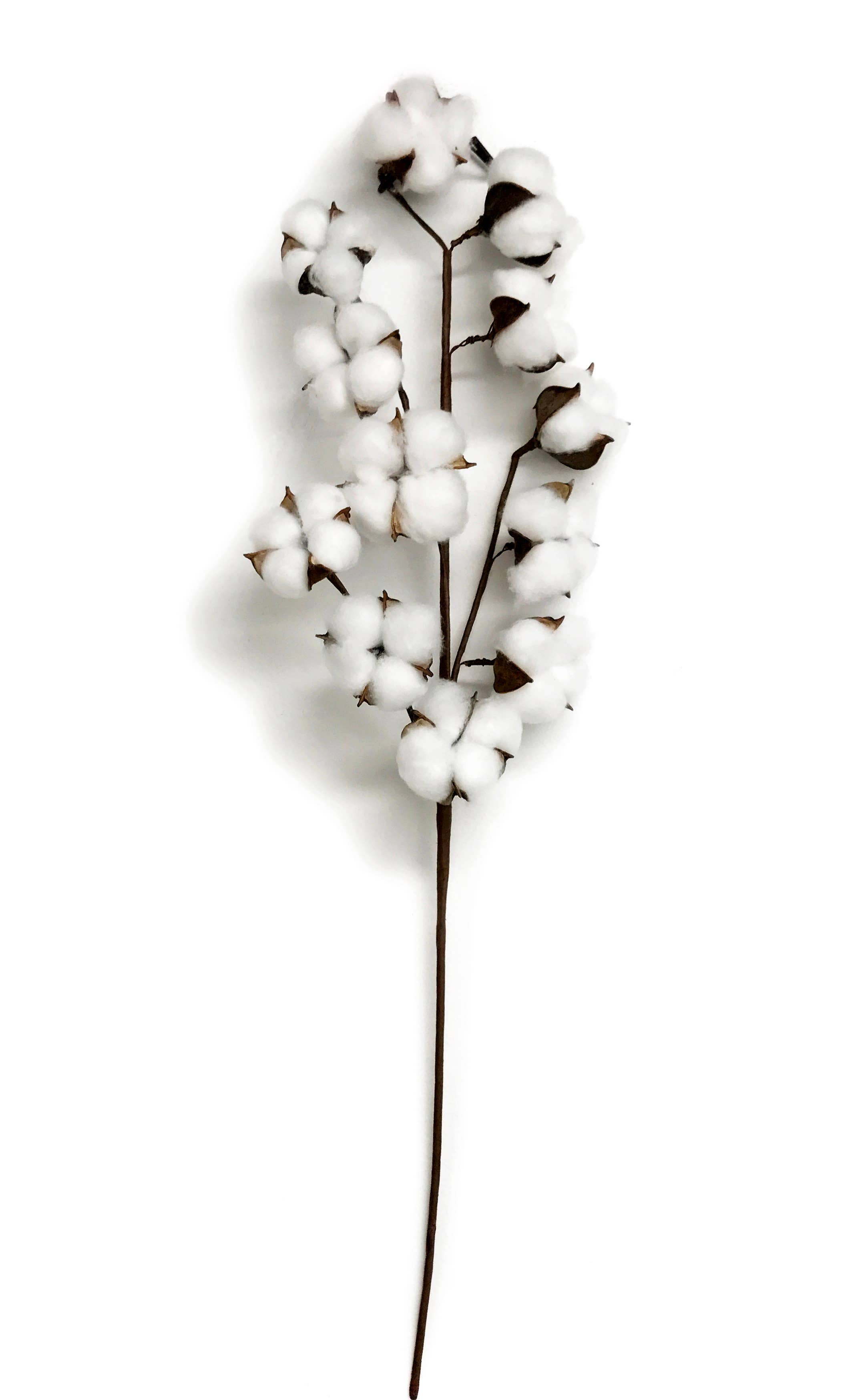 Wilco Home - Wholesale Artificial Flowers - 27.5'' 12 Bolls Cotton Spray1