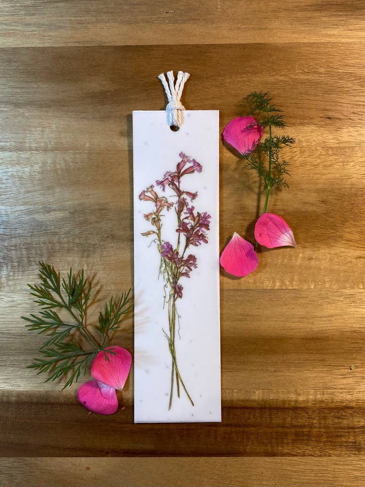 Marcador de Livro Plantável | Marcador 2 em 1 | Silene (Flor Silvestre) por atacado de The Raven’s Edge Studio