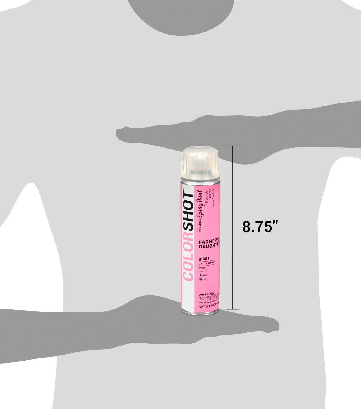 Ilovetocreate - Wholesale Paint Set - COLORSHOT Gloss Spray Paint Farmers Daughter (Pink) 10 oz.7