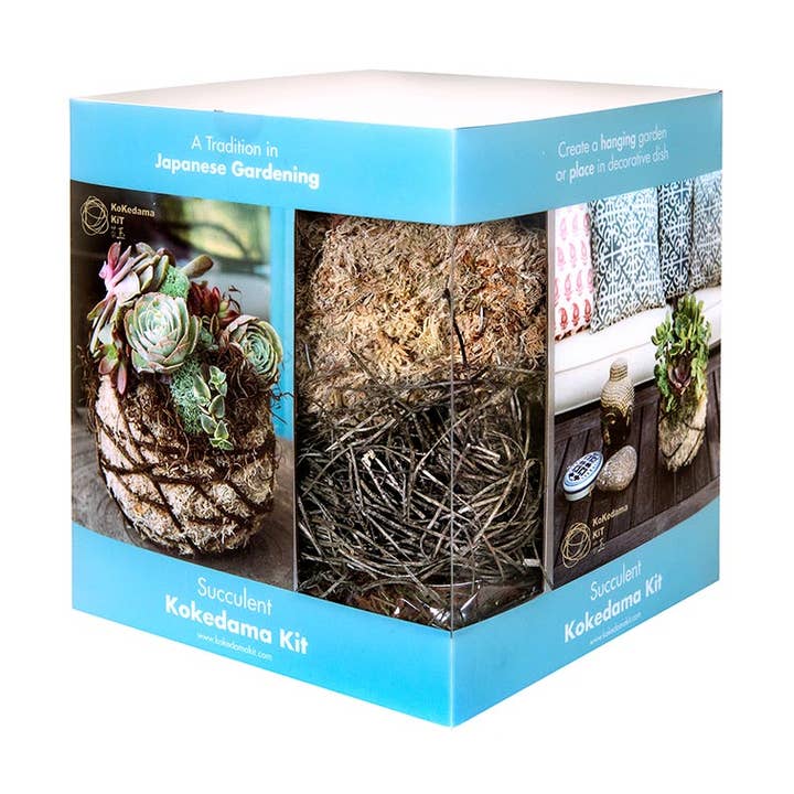 SuperMoss Sukkulenten Kokedama-Kit 15 cm für den Großhandel von SuperMoss