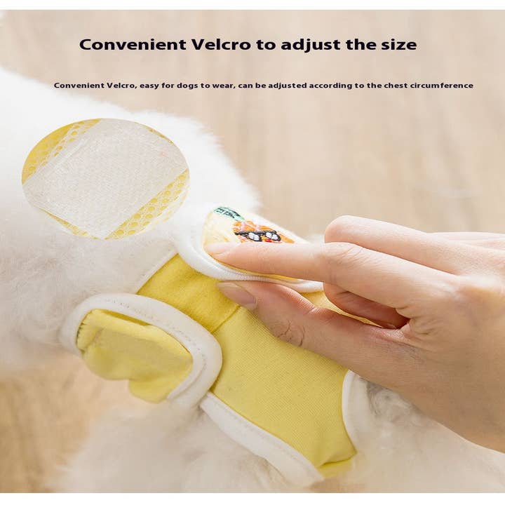 PAWPAWwholesale - Wholesale Pet Diaper - Dog - Reusable Dog Diaper for Female – Period Use_CWMM73005