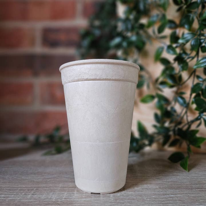 500 pcs Thick Wall Home-Compostable Cups 12 oz for wholesale by Sustainoware