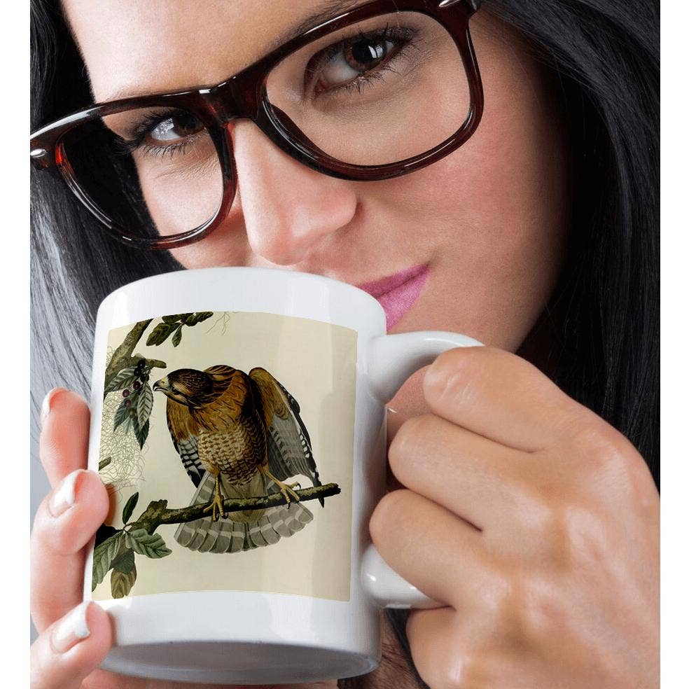 3dRose – wholesale Coffee mug – 3dRose, Red-shouldered Hawk Bird of Prey Audubon America Vintage Art Print, Mug9