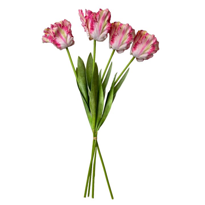 Angel Isabella - Wholesale Artificial flowers - 27" Artificial 3-D printed Soft Touch Parrot Tulip7