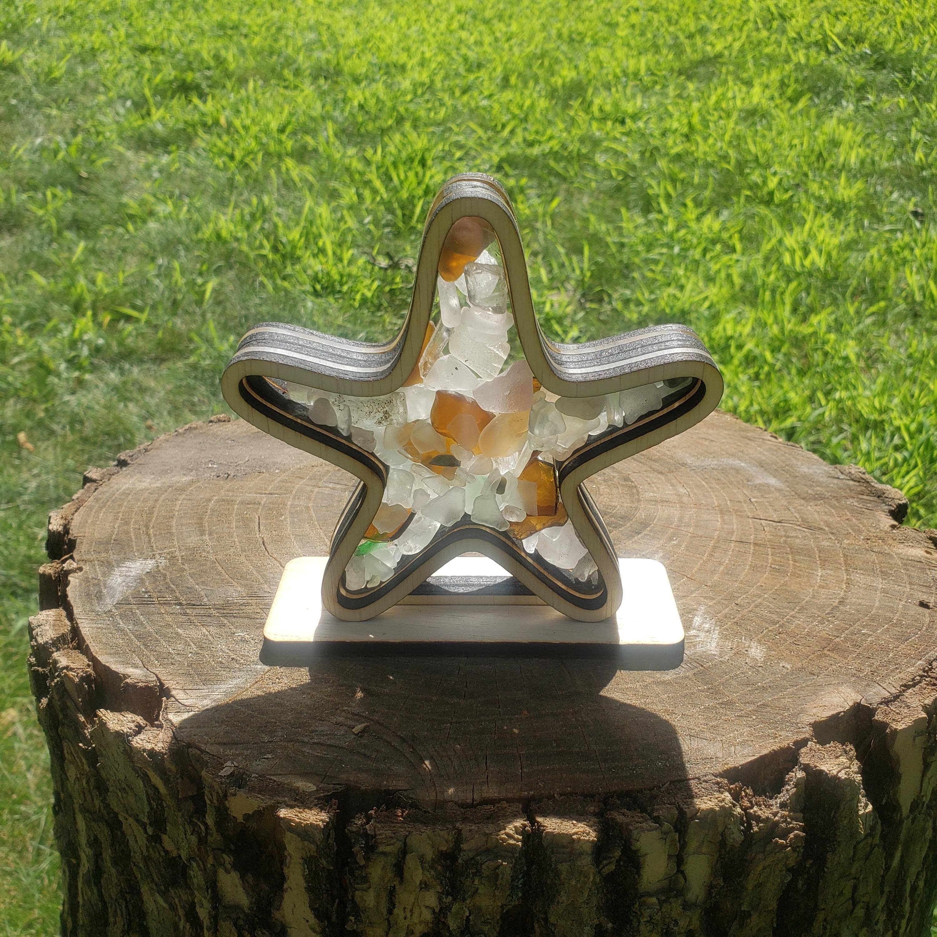 Sea Glass Displays - Vendita all'ingrosso Espositori - Espositore Shadowbox in vetro Starfish Sea 4 stili multicolore6