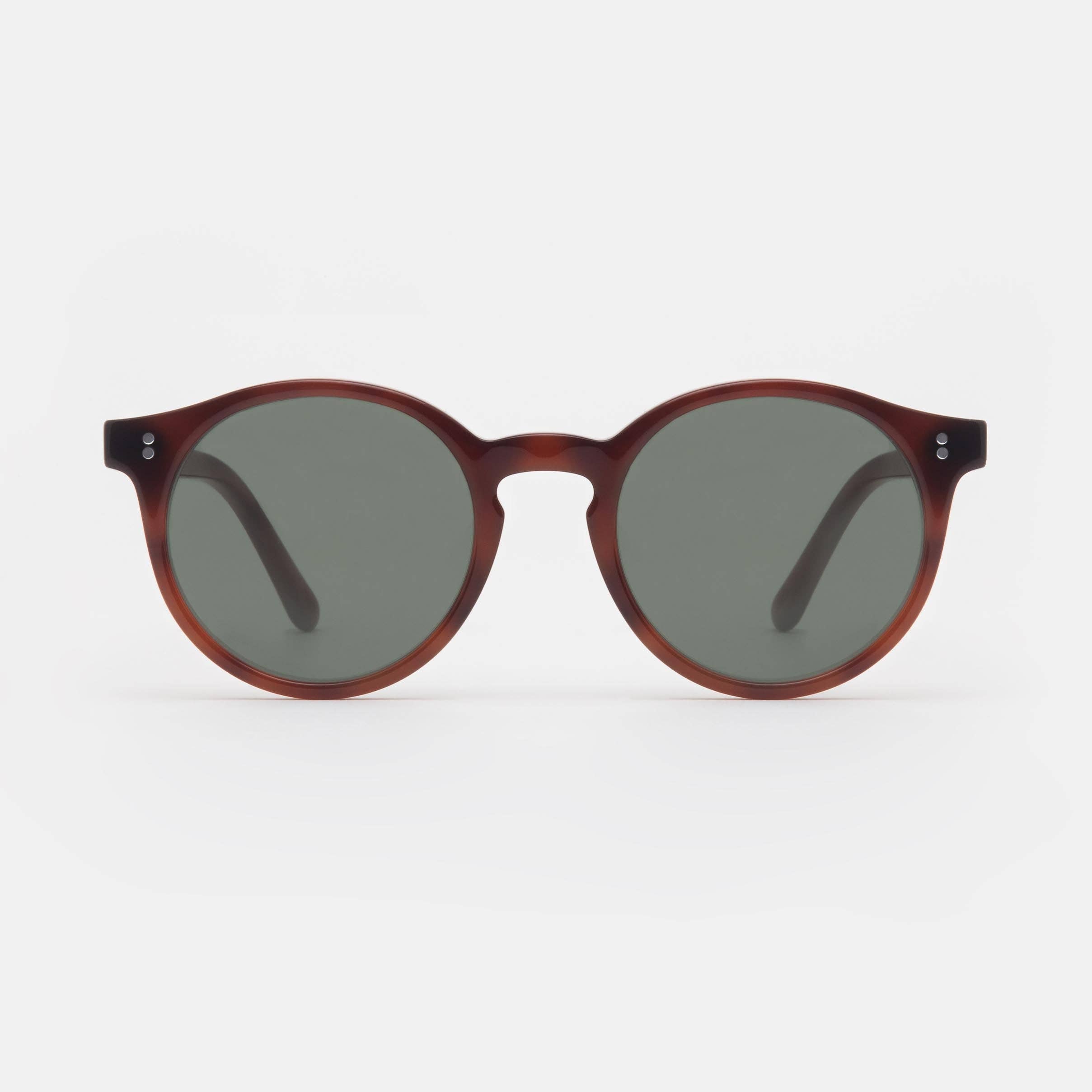 FORA - Wholesale Sunglasses - Unisex - Unisex Wayfarer Sunglasses | Dreamer | Acetate3