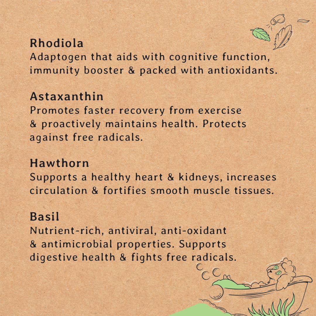 Gizzls – Engroshandel Godbid - Hund – Gizzls 100% naturlige hundegodbidder til seniorer5